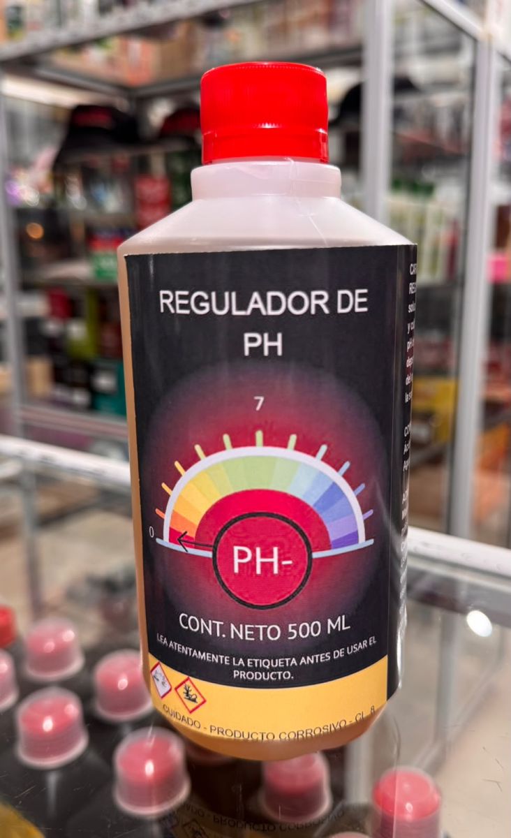 REGULADOR DE PH - 100ML RAYMUNDO