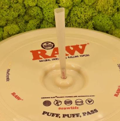 RAW FRESBEE