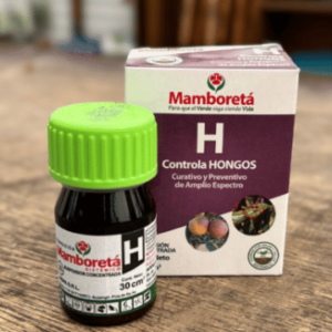 MAMBORETA H 30 CC