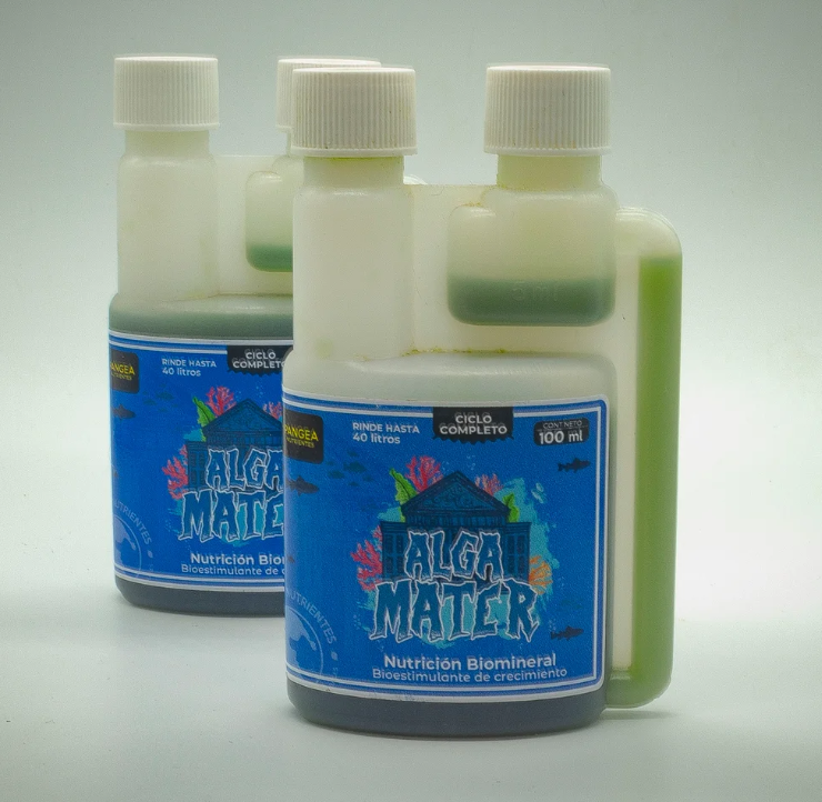 PANGEA ALGA MATER 300ML