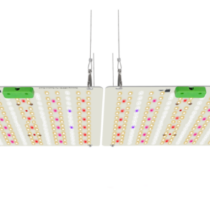AMNESIA LED ALTA EFICIENCIA 180W 80A100CM