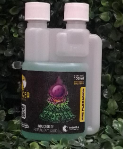 PANGEA BLOOM STARTER 300ML