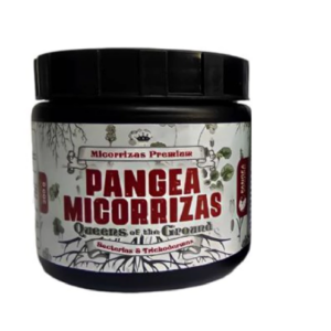 PANGEA MICRORISAS 300 CC