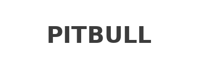 PITBULL.png