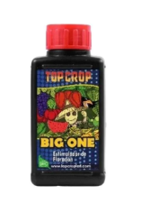 Top Crop Big One 100ml